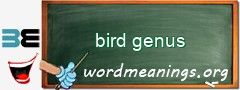 WordMeaning blackboard for bird genus